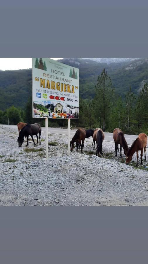 Hotel Margjeka Valbone Luaran gambar